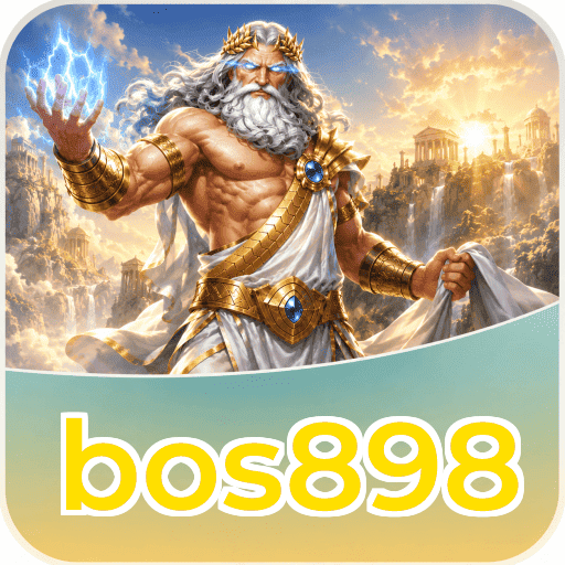 bos898 Installation
