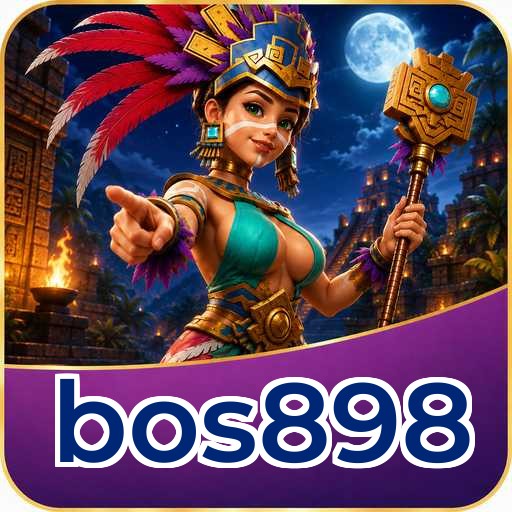 bos898 Tools