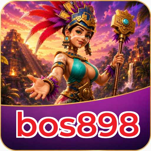 bos898 Tools