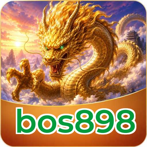 bos898 Tools