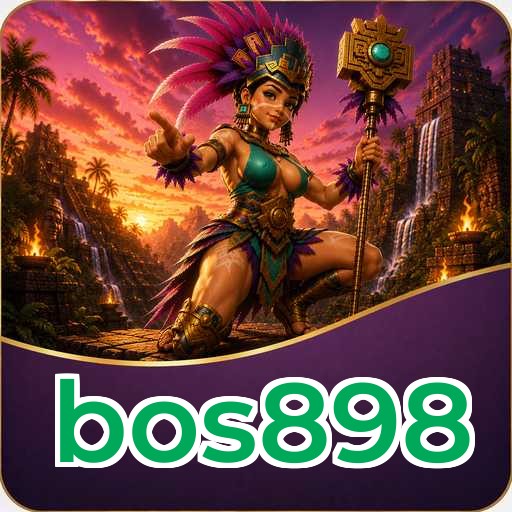 bos898 Technical Info